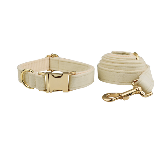 Velourset – Halsband & Koppel