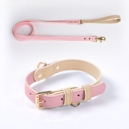 Läderkoppel & Halsband Set – Flera Färger