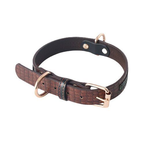 Matchande Hundhalsband & Koppel Set