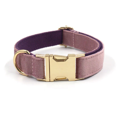 Creamy Coffee Sammetset – Halsband & Koppel