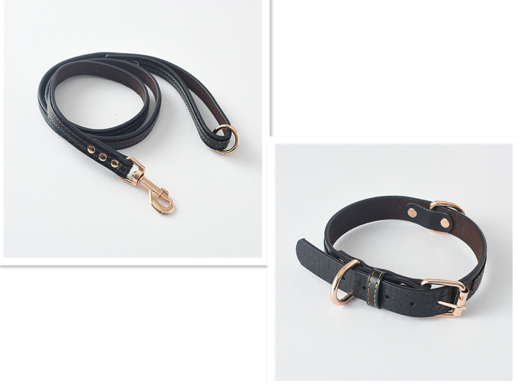 Matchande Hundhalsband & Koppel Set