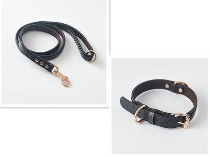 Matchande Hundhalsband & Koppel Set