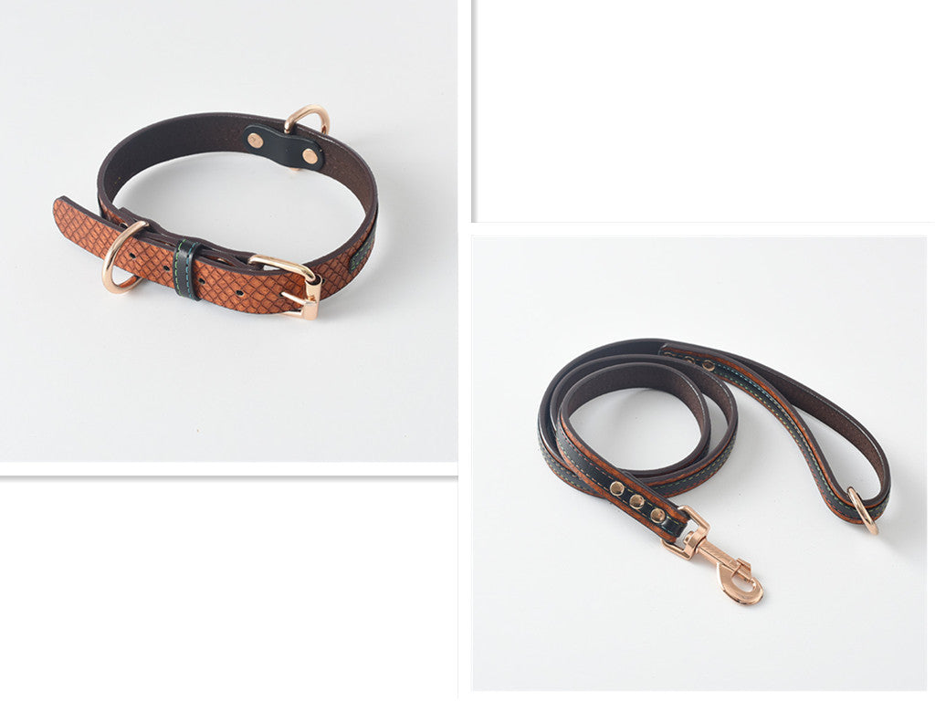 Matchande Hundhalsband & Koppel Set