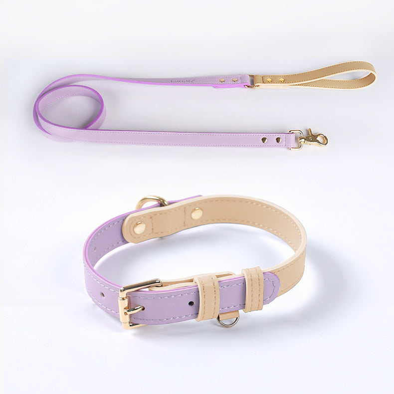 Läderkoppel & Halsband Set – Flera Färger
