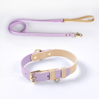 Läderkoppel & Halsband Set – Flera Färger
