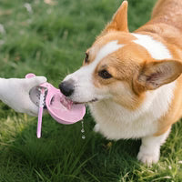 PupRoam Spherical Pet Water Bottle