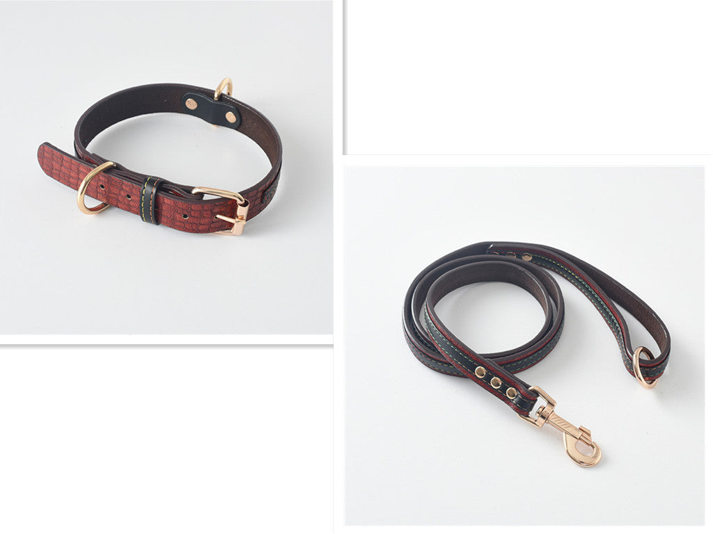 Matchande Hundhalsband & Koppel Set