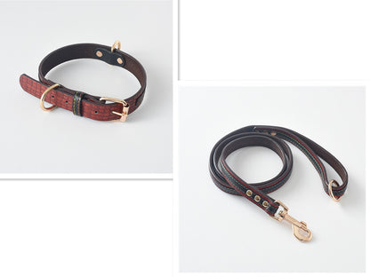 Matchande Hundhalsband & Koppel Set