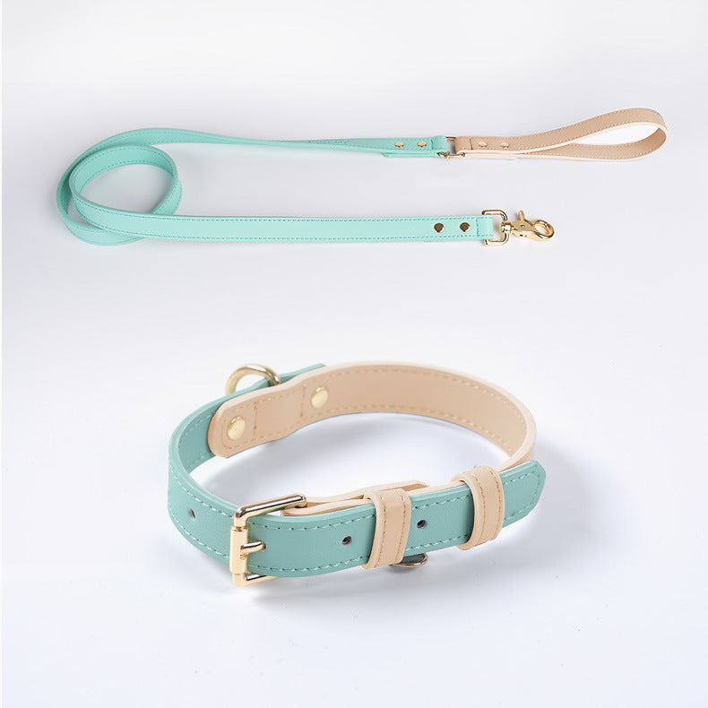 Läderkoppel & Halsband Set – Flera Färger