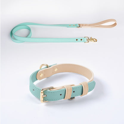 Läderkoppel & Halsband Set – Flera Färger