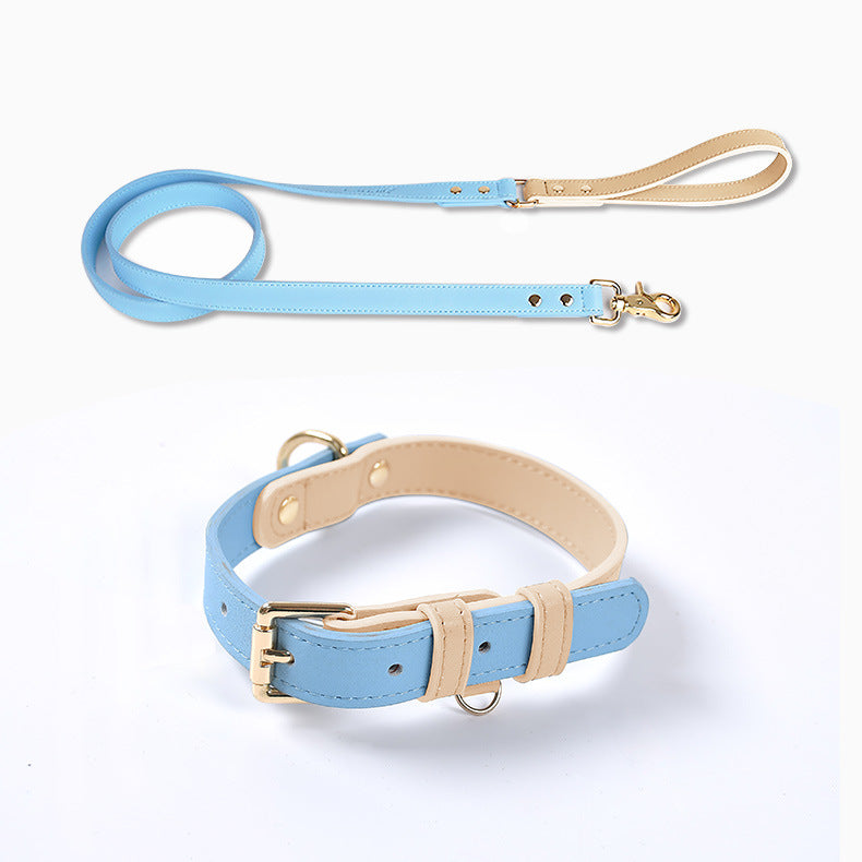 Läderkoppel & Halsband Set – Flera Färger