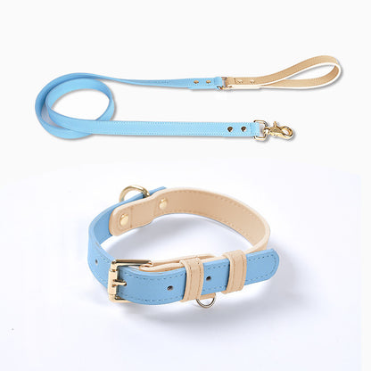 Läderkoppel & Halsband Set – Flera Färger